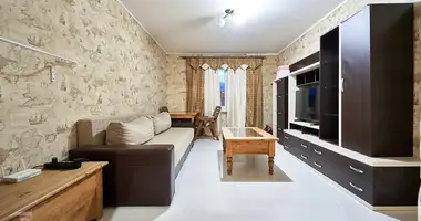 Квартира 2 комнаты в Копище, Беларусь