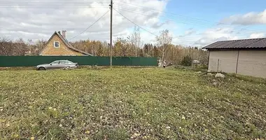 Terrain dans Aliachnovicki sielski Saviet, Bélarus
