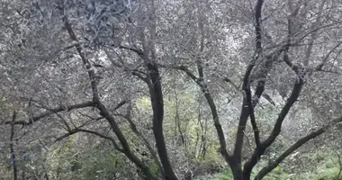 Участок земли в Дельвина, Албания