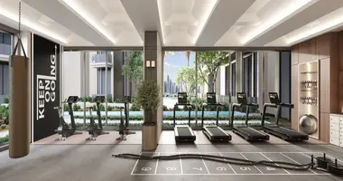 1 bedroom apartment in Dubai, United Arab Emirates
