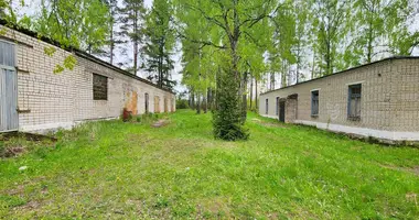 Magazyn 351 m² w Baraulianski sielski Saviet, Białoruś
