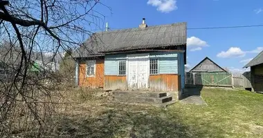 Dom w Usieliubski sielski Saviet, Białoruś
