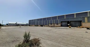 Apartment in Agia Varvara, Cyprus