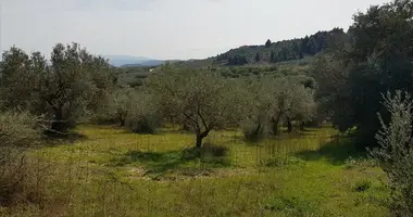 Terrain dans Agios Nikolaos, Grèce