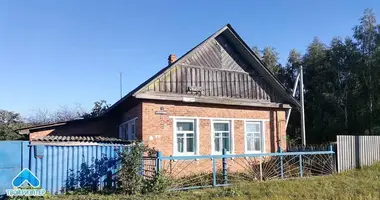 House in Ivaki, Belarus