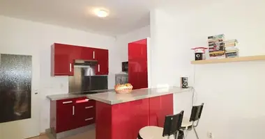 Wohnung 2 zimmer in Hauptstadt Prag, Tschechien