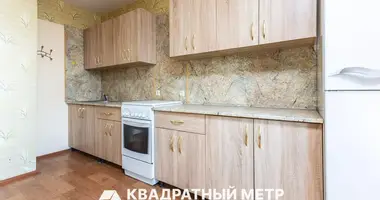 2 room apartment in Minsk, Belarus