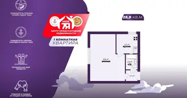 1 room apartment in Sluck, Belarus