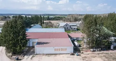 Propriété commerciale 1 500 m² dans Parudaminys, Lituanie