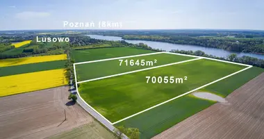 Wohnung in Lusowko, Polen