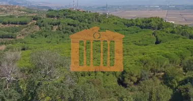 Grundstück in Durrës, Albanien