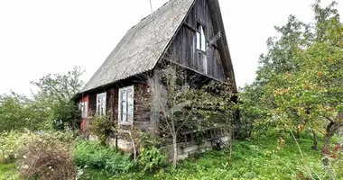 Haus in Aliachnovicki sielski Saviet, Belarus