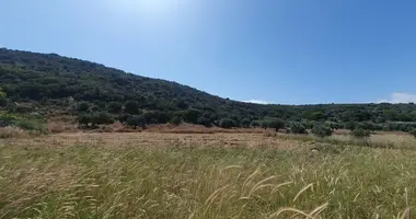 Terrain dans Municipality of Agios Nikolaos, Grèce