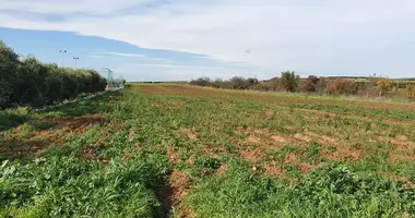 Działka w Nea Triglia, Grecja