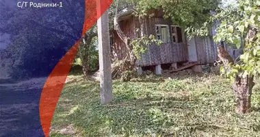 Дом — Янушковичский сельский Совет, Беларусь