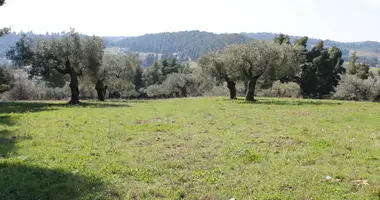 Участок земли в Каллитеа, Греция