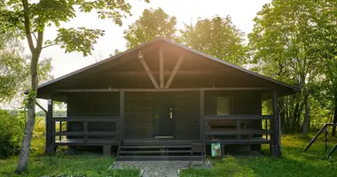 Commercial property 100 m² in Bahusevicki sielski Saviet, Belarus