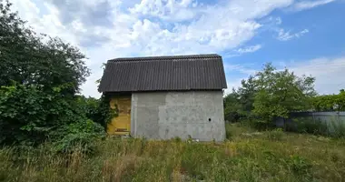 Plot of land in Muchaviecki sielski Saviet, Belarus