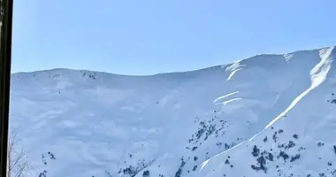 1 bedroom apartment in Kazbegi Municipality, Georgia