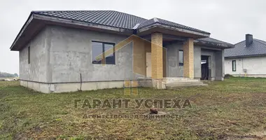 House in Cerninski sielski Saviet, Belarus