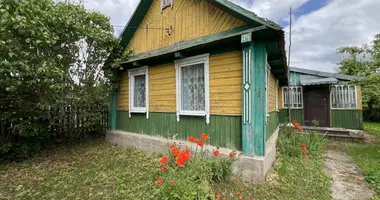 Дом в Миколаевщина, Беларусь