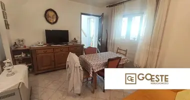 1 room apartment in Opcina Dezanovac, Croatia