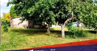 Дом в Заболотский сельский Совет, Беларусь