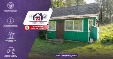 House in Liebiadzieva, Belarus