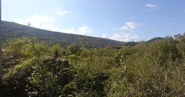 Участок земли в Радановичи, Черногория