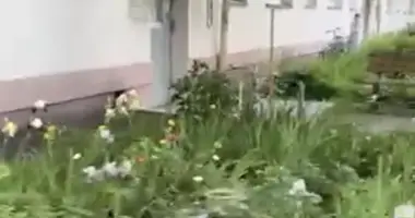 1 room apartment in Minsk, Belarus