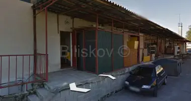 Gewerbefläche 942 m² in Pinquent, Kroatien