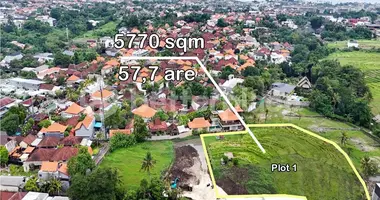 Terrain dans Pererenan, Indonésie