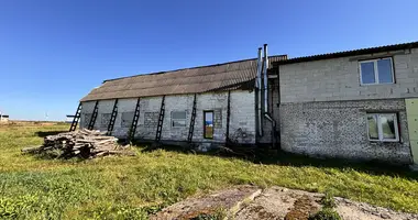 Fertiges Geschäft 700 m² in Krupki, Belarus
