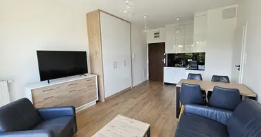 1 bedroom apartment in Warsaw, Poland