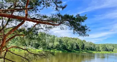 Plot of land in Tusciauliai, Lithuania
