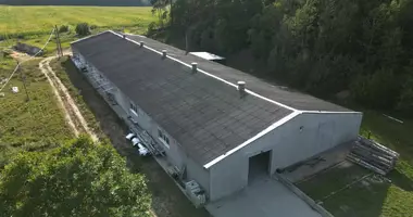 Propiedad comercial 1 490 m² en Lahojsk selsaviet, Belarús