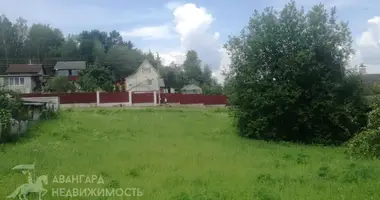 Działka w Ozyaritska Slabadski rural council, Białoruś