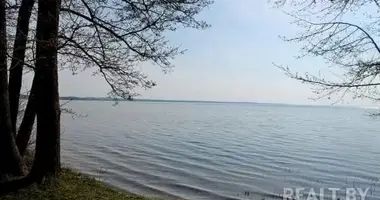 Parcela en Narach, Belarús