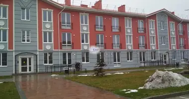 Wohnung 1 zimmer in Laskino, Russland