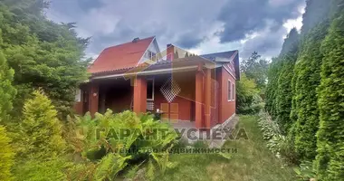 Haus in Cerninski sielski Saviet, Belarus