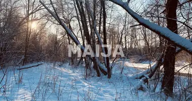 Plot of land in Iecavas pagasts, Latvia