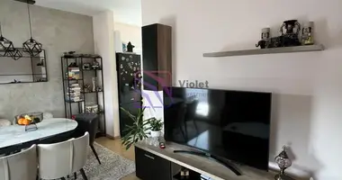 Apartamento 1 habitación en 14 a, Montenegro