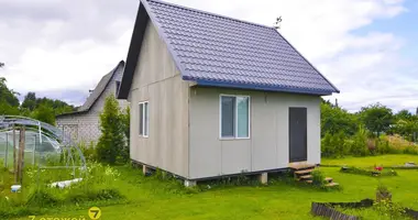 Дом в Олехновичский сельский Совет, Беларусь