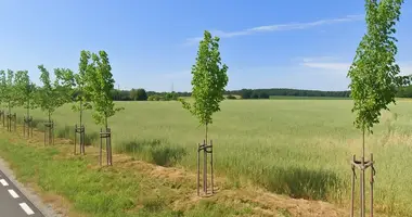 Apartment in Trzcielin, Poland
