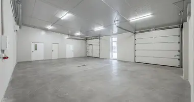 Коммерческое помещение 283 м² в Raudondvaris, Литва