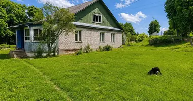 Haus in Lahojsk, Belarus