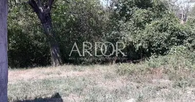 Terrain dans Viskovo, Croatie