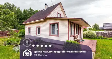 Dom w Hajnienski sielski Saviet, Białoruś