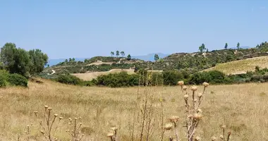 Plot of land in Kassandra Municipality, Greece