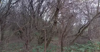 Grundstück in Dziekanow Polski, Polen